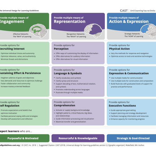 udl_guidelines